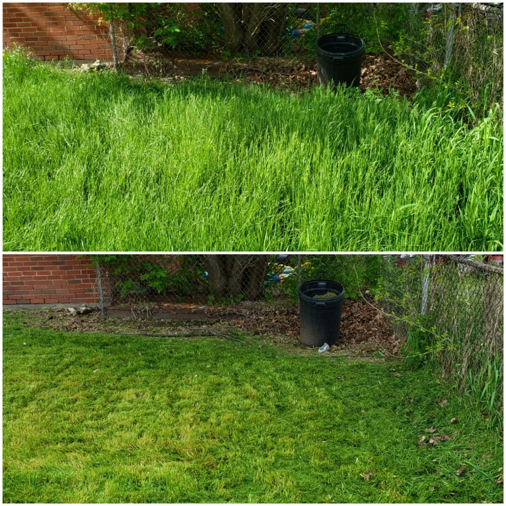 Photo of A&A Lawncare service