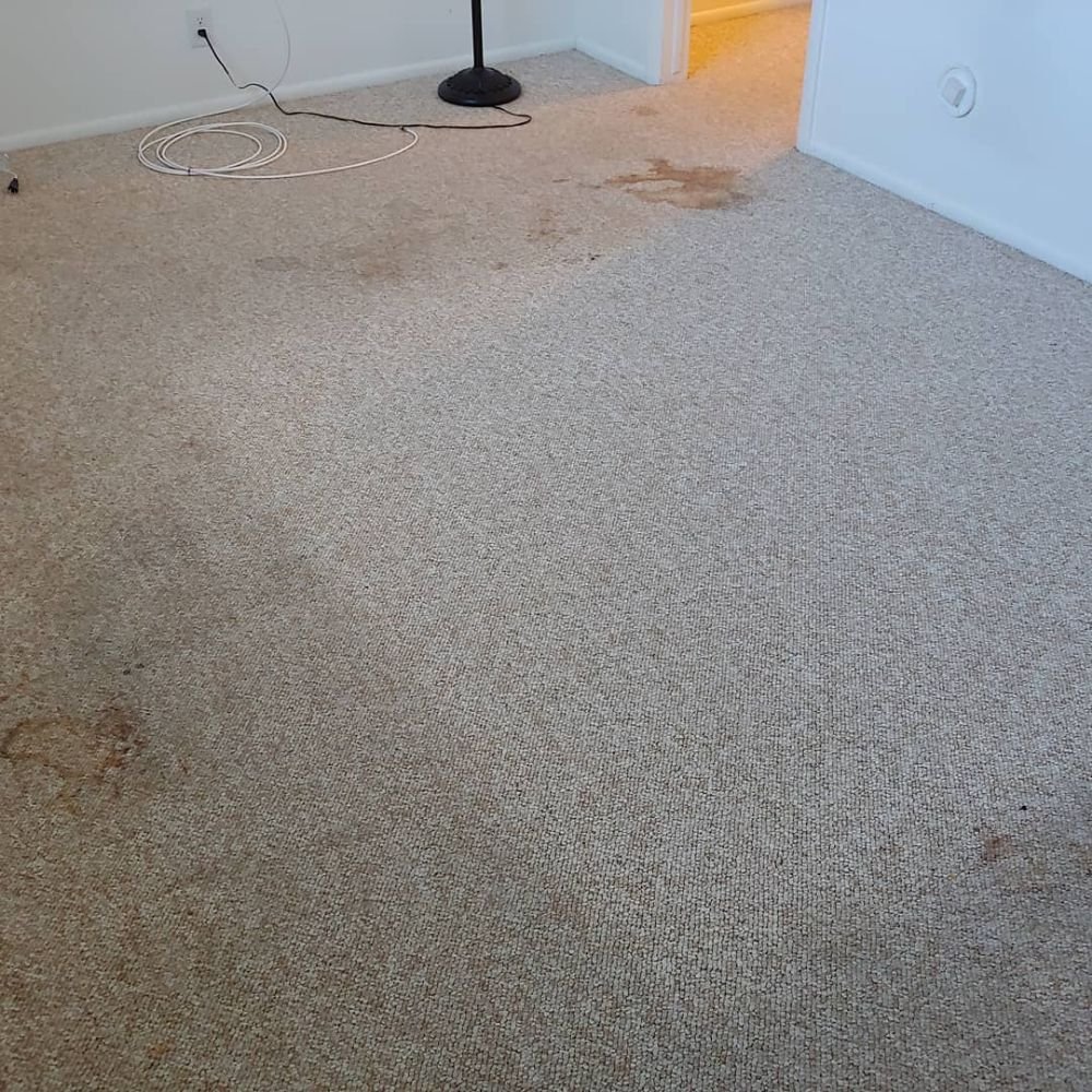 Photo of All Clean Carpet Care