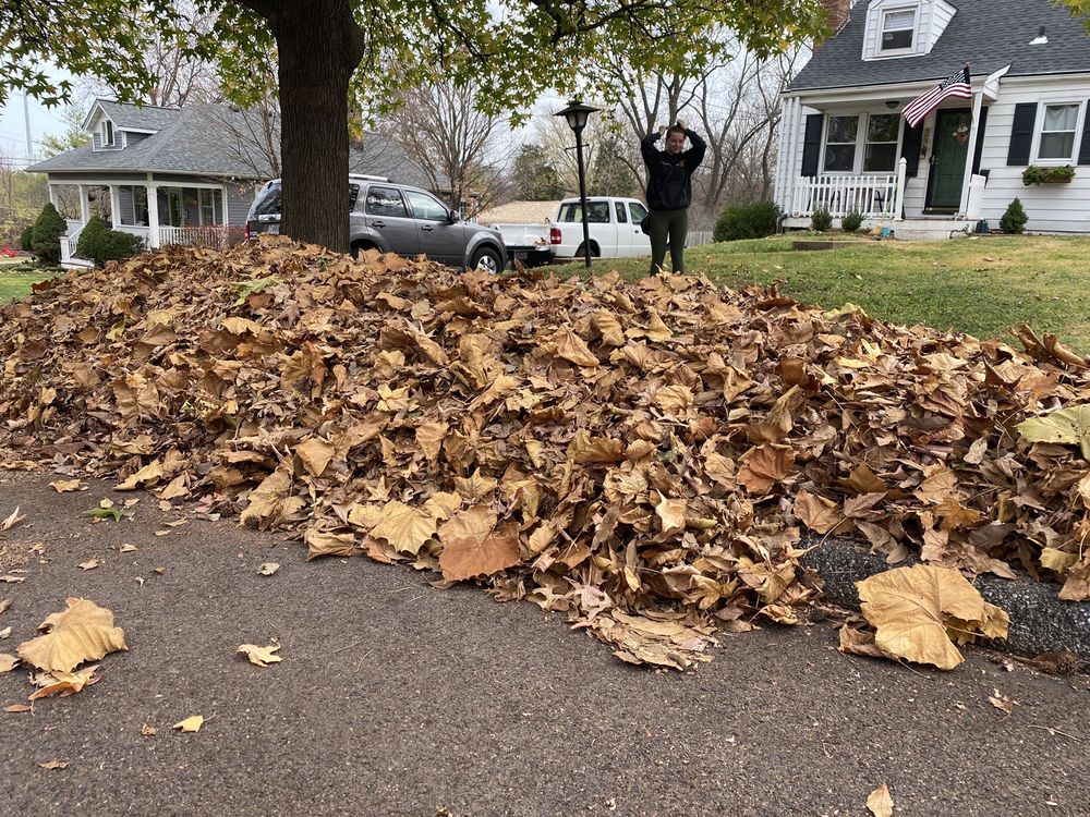 Photo of Mizzou Crew Landscaping