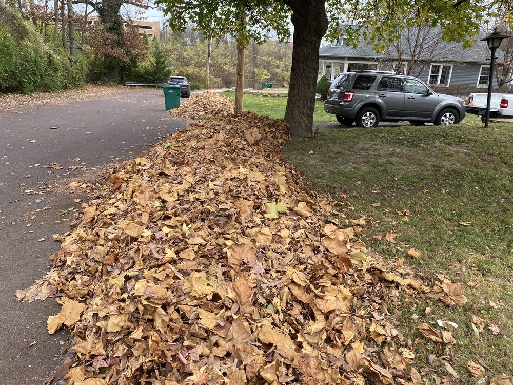 Photo of Mizzou Crew Landscaping