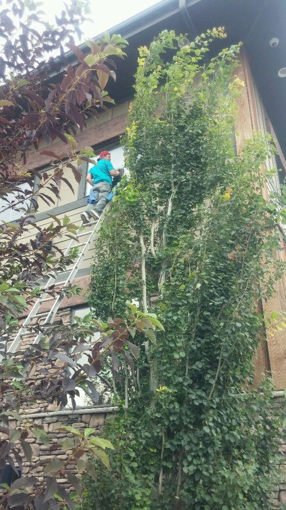 Photo of Holladay Window Washing, LLC