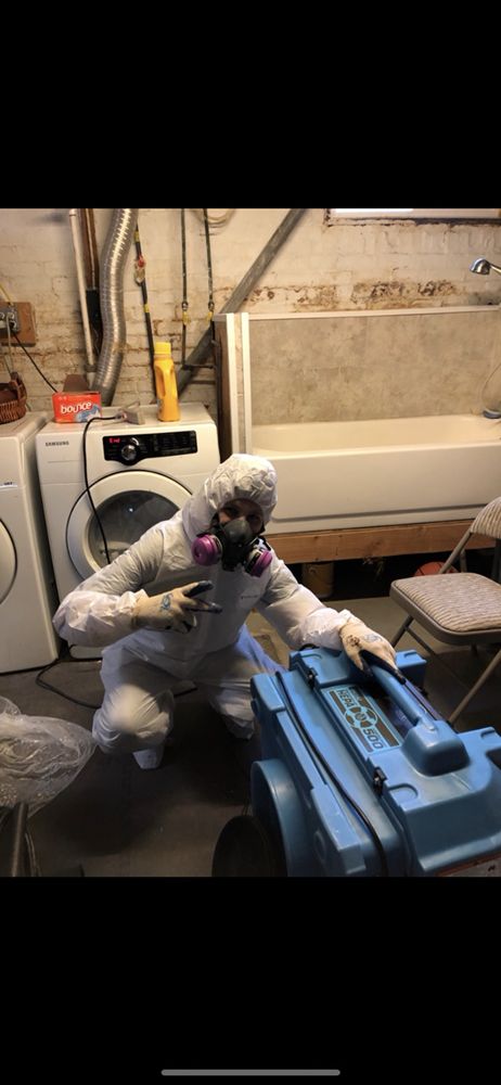 Photo of New York Mold Specialist