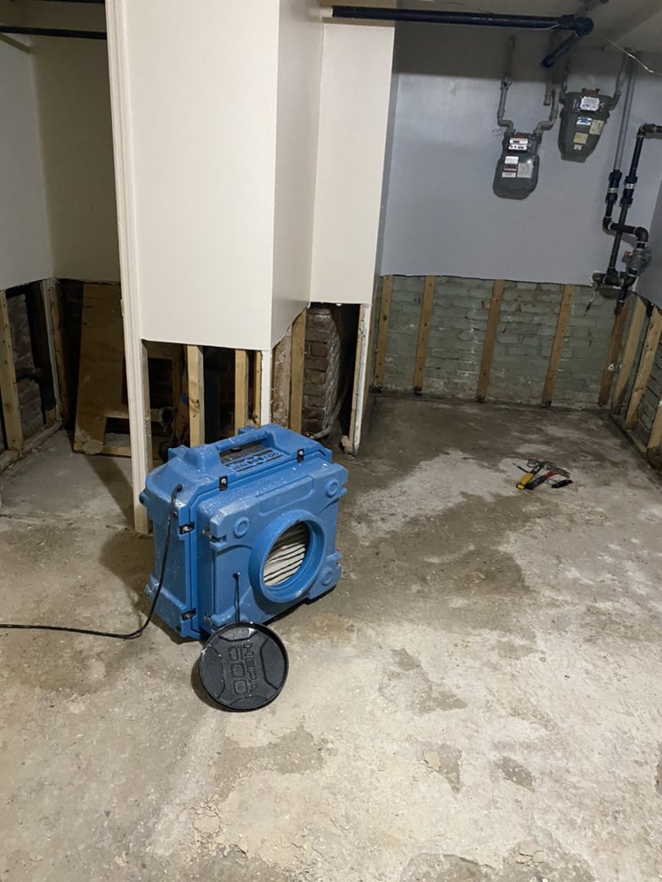 Photo of New York Mold Specialist