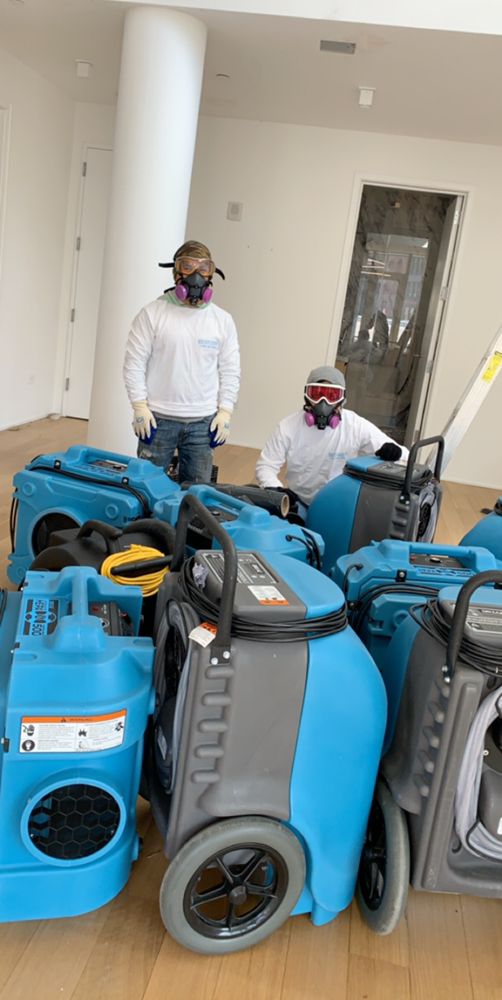 Photo of New York Mold Specialist