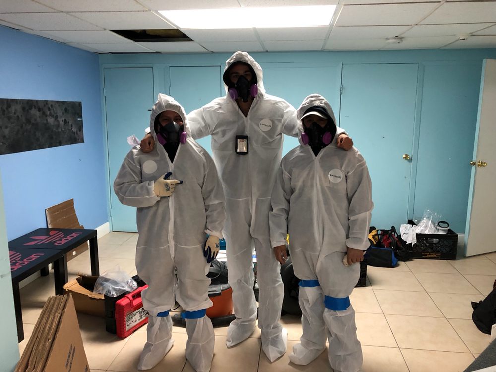 Photo of New York Mold Specialist