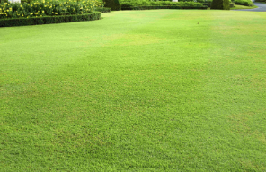 Photo of J Perez Landscaping