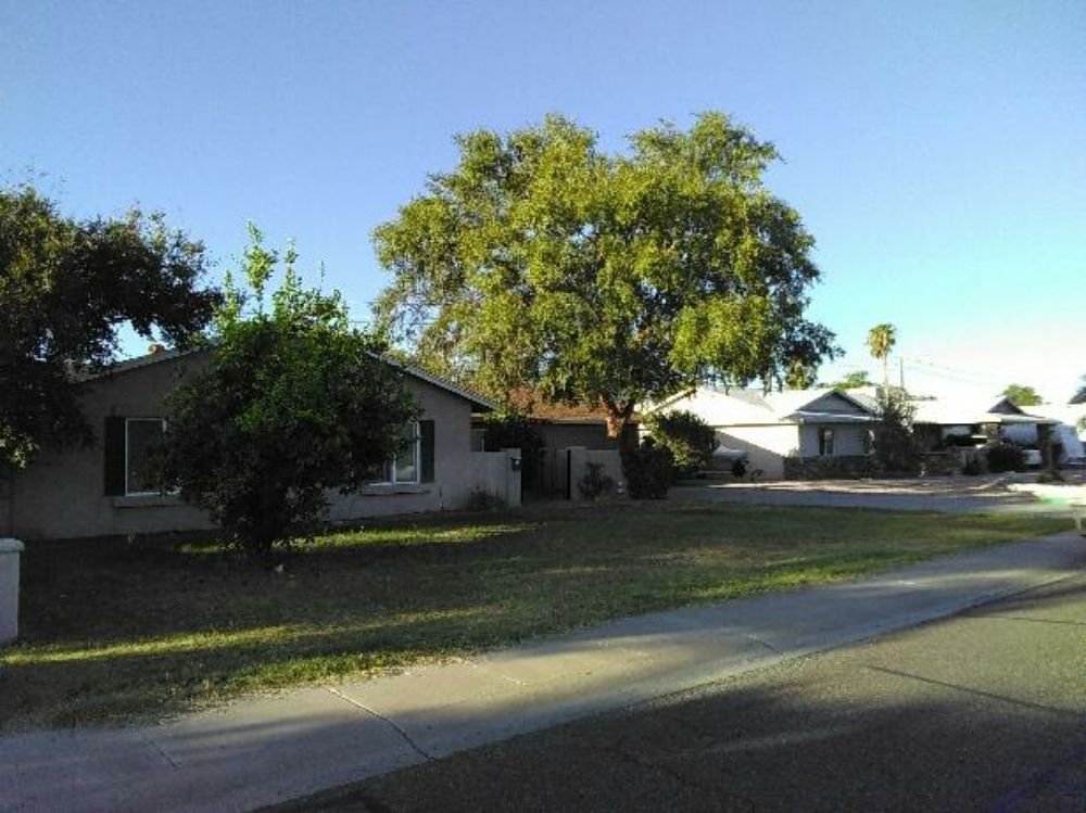 Photo of Echo Mountain Landscaping