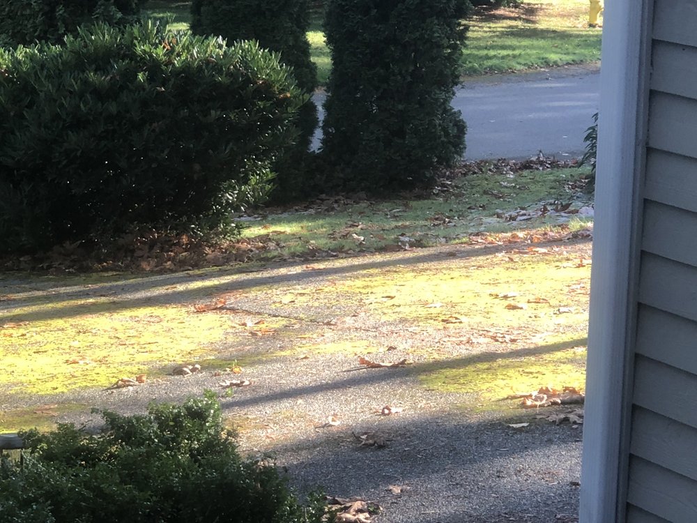 Photo of JMA Power Washing