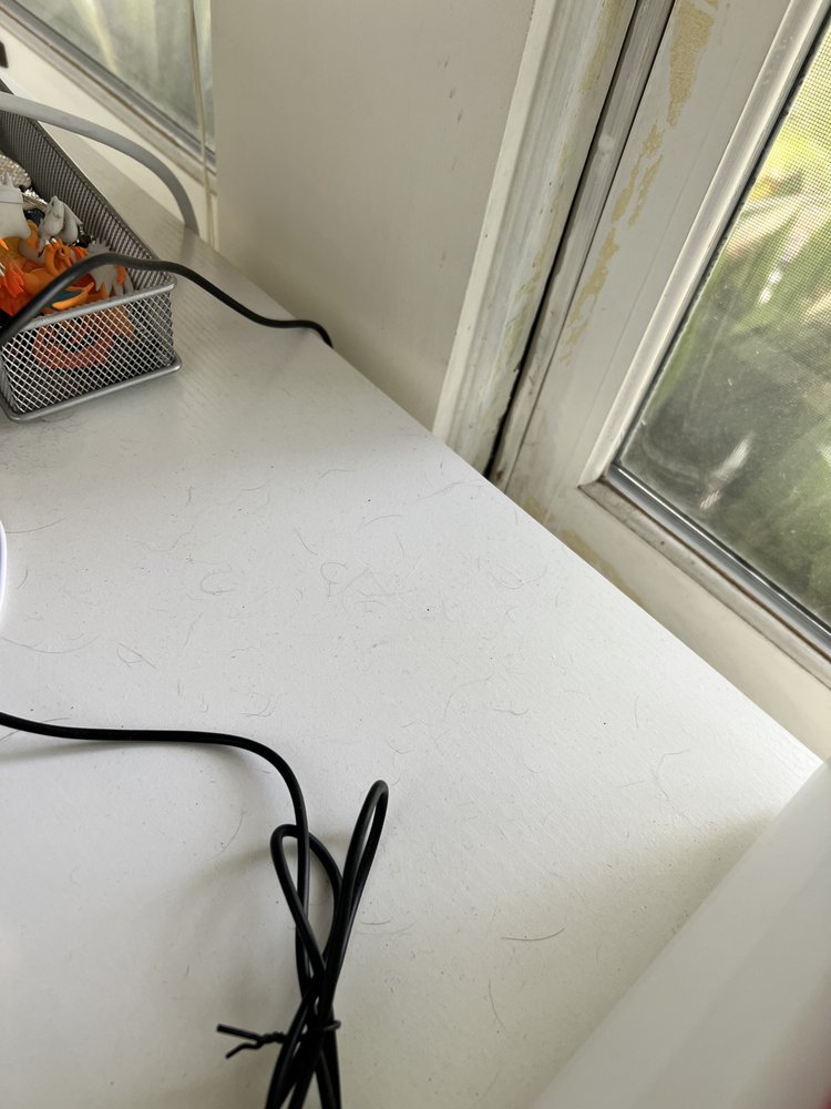 Photo of Andale Cleaning Solutions