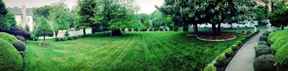 Photo of Clean Cut Yard Service