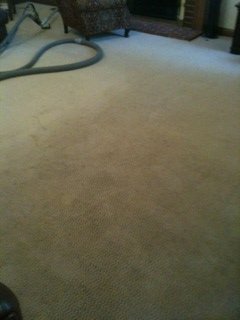 Photo of King of Kings Carpet Cleaning