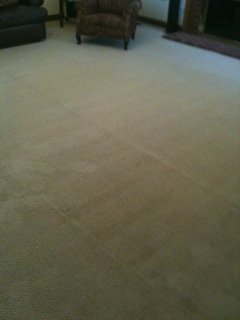 Photo of King of Kings Carpet Cleaning