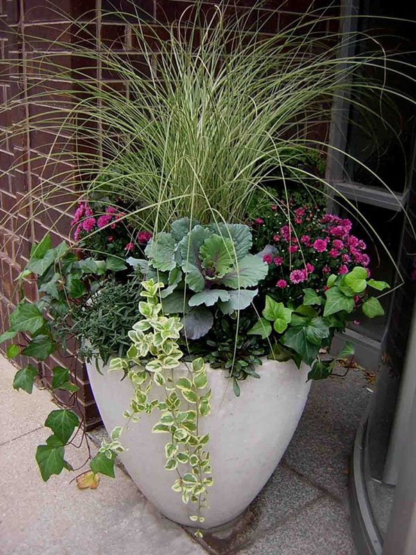 Photo of Bloomers Landscaping