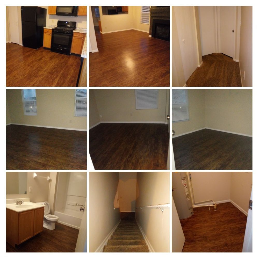 Photo of Blue Bird Cleaning Services