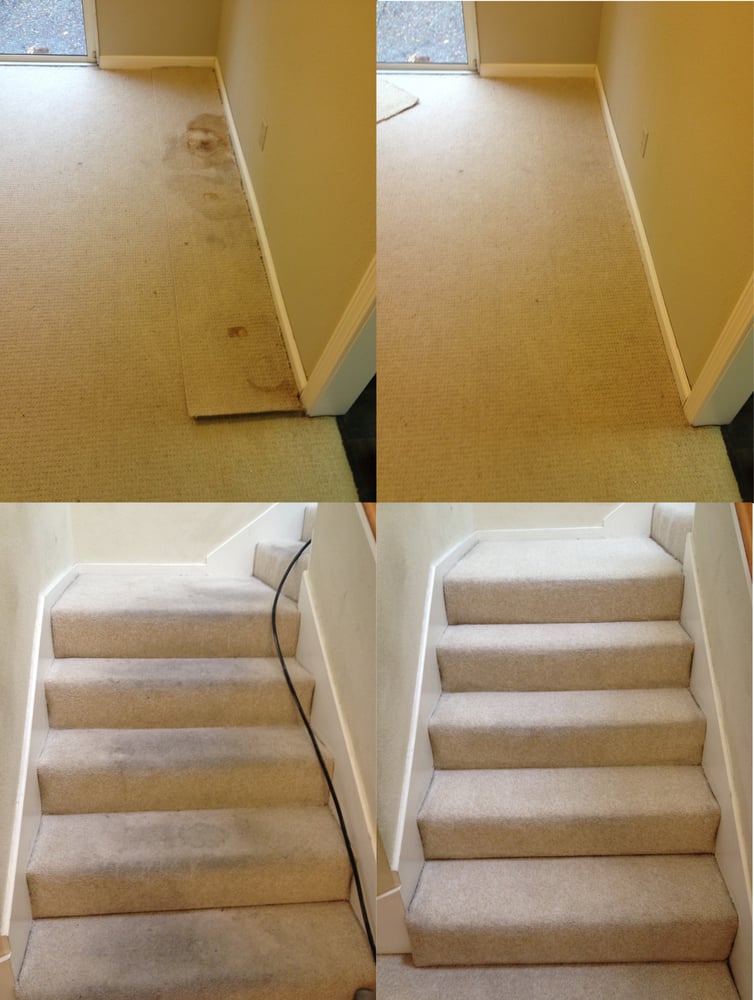 Photo of Bay Area Restoration Carpet Cleaning