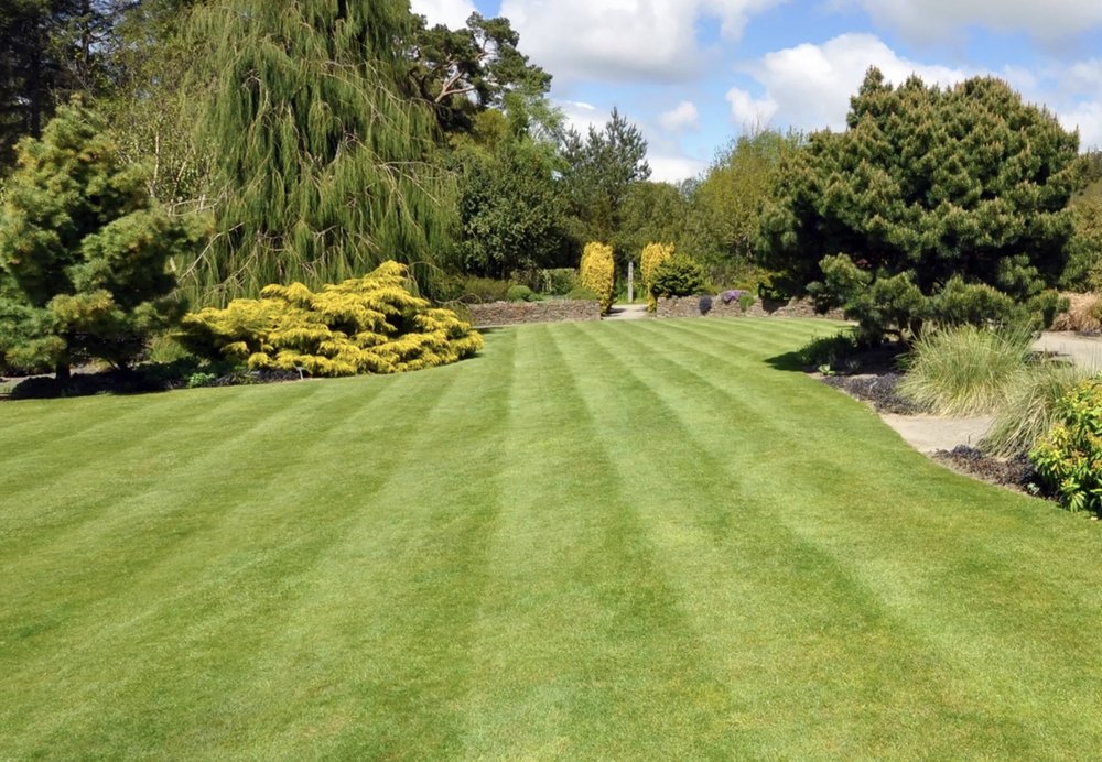 Photo of Park Place Lawn Care