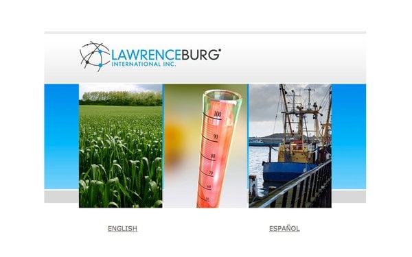 Photo of Miami Web Design Agency