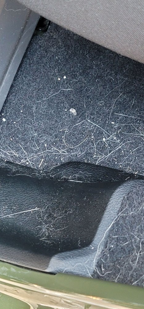 Photo of Autobell Car Wash
