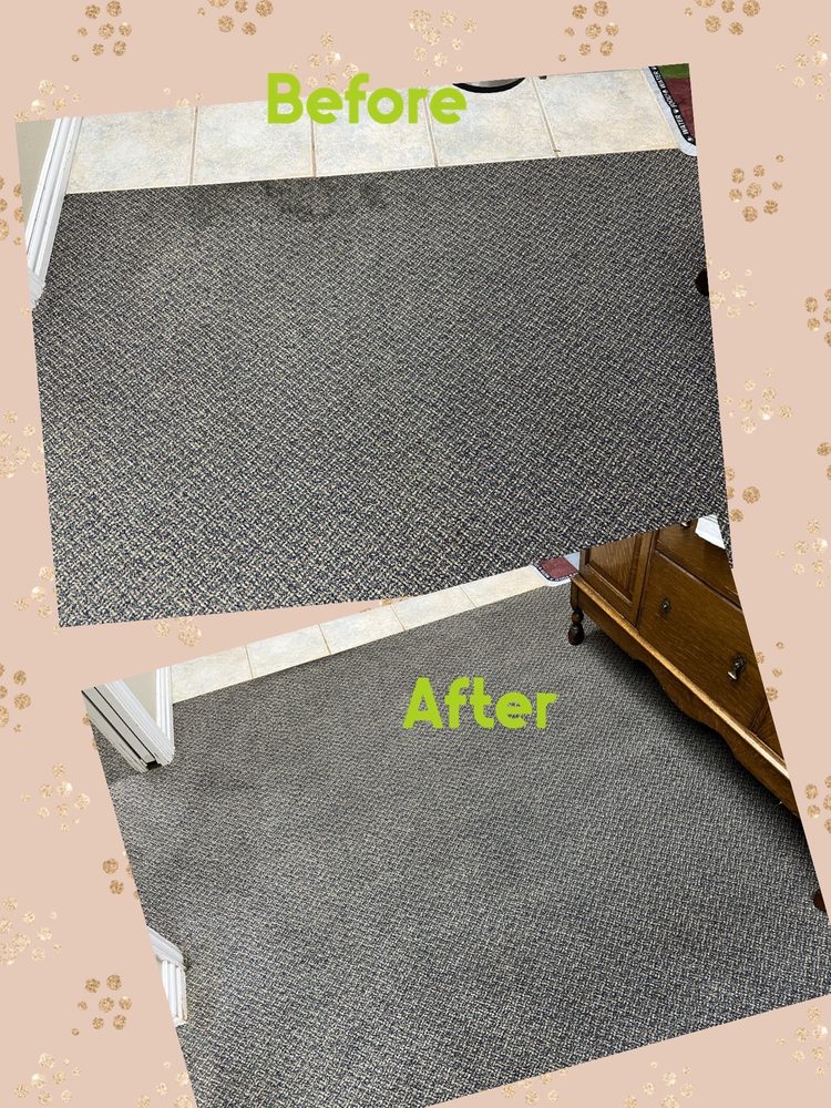 Photo of Doigg's Carpet Care & Restoration