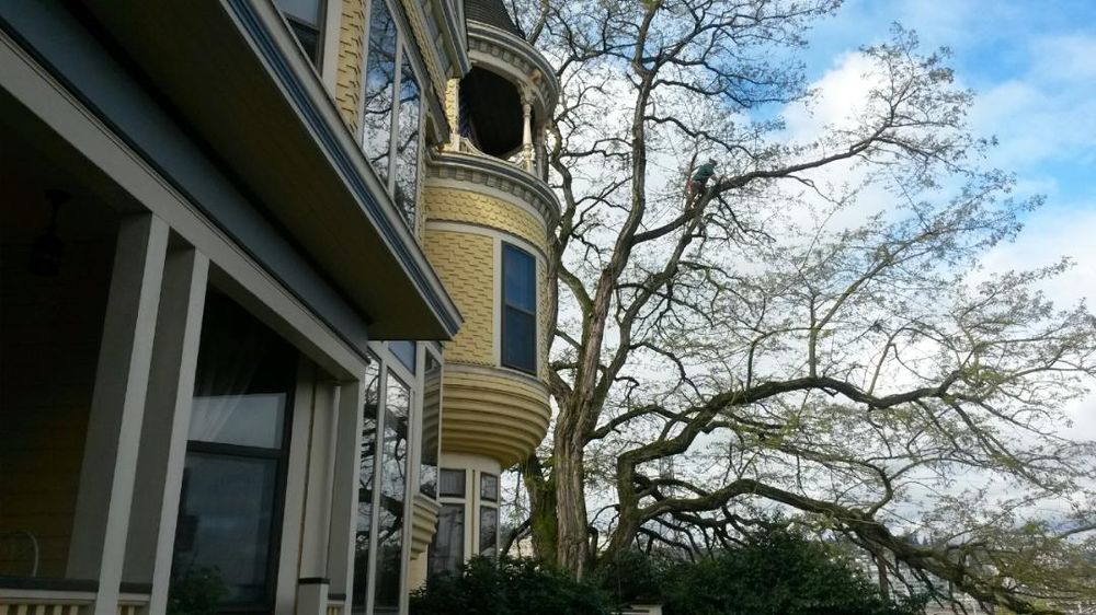 Photo of Anderson Landscape & Tree Service