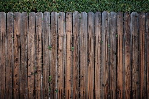 Photo of South East Fence
