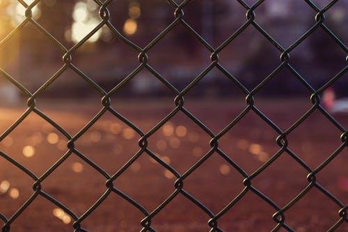 Photo of South East Fence