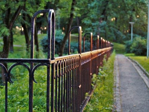 Photo of South East Fence