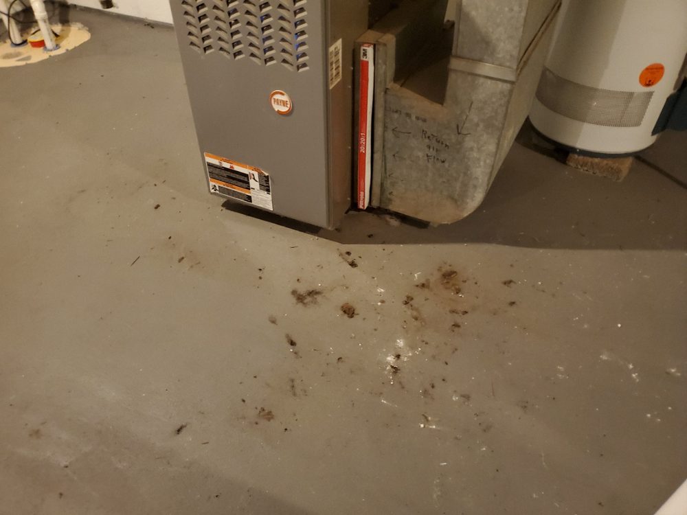 Photo of Clean Air On Time