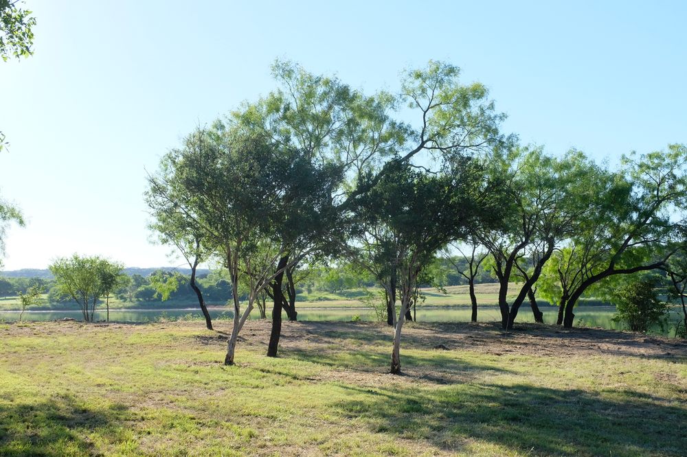 Photo of Texas Land Stewards