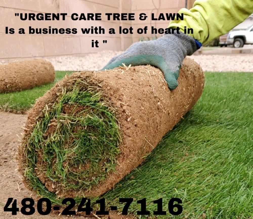 Photo of Urgent Care Tree & Lawn