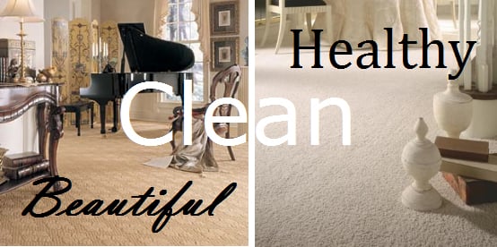 Photo of PJP Cleaning Services