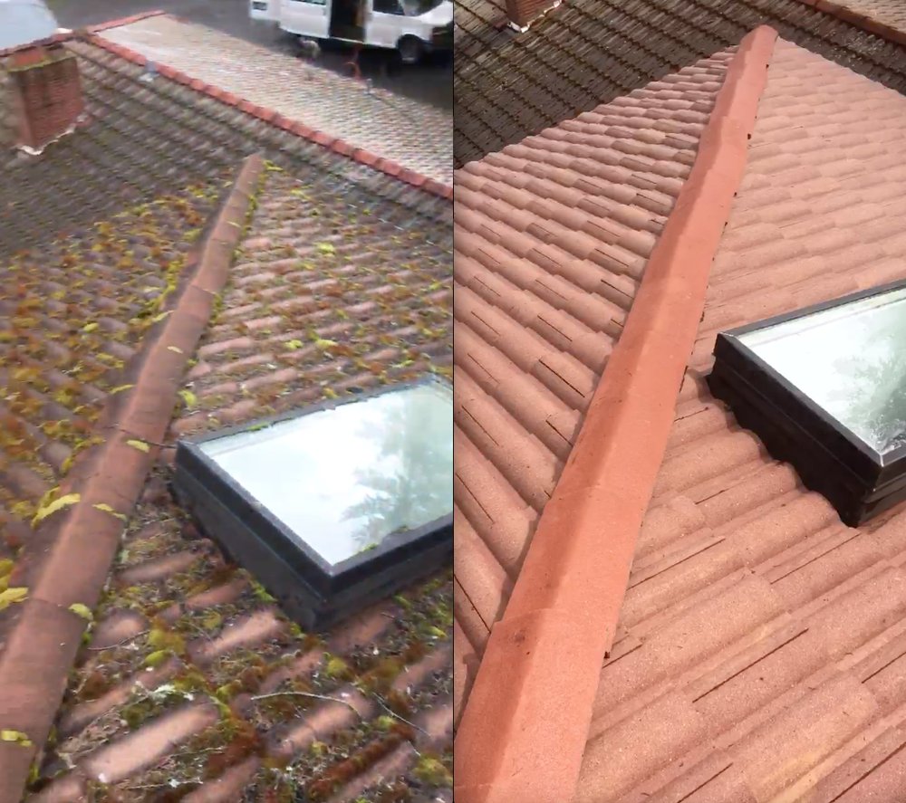 Photo of Roof Life of Oregon