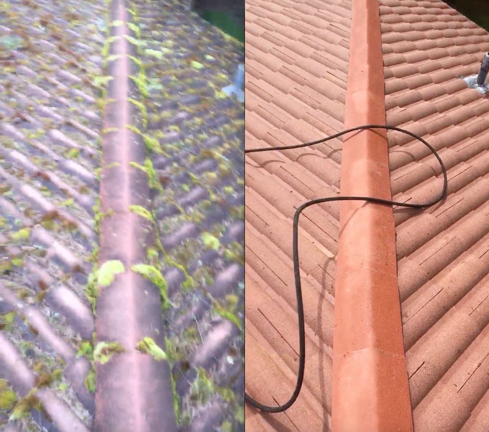 Photo of Roof Life of Oregon