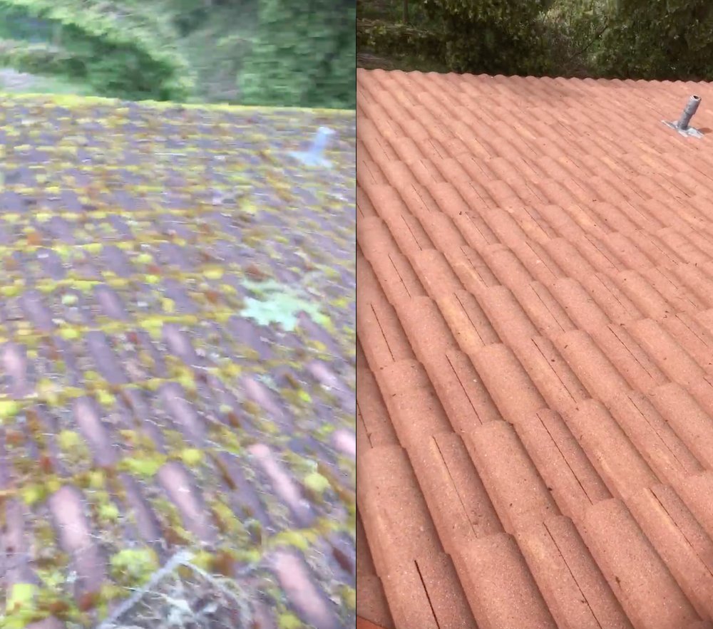 Photo of Roof Life of Oregon