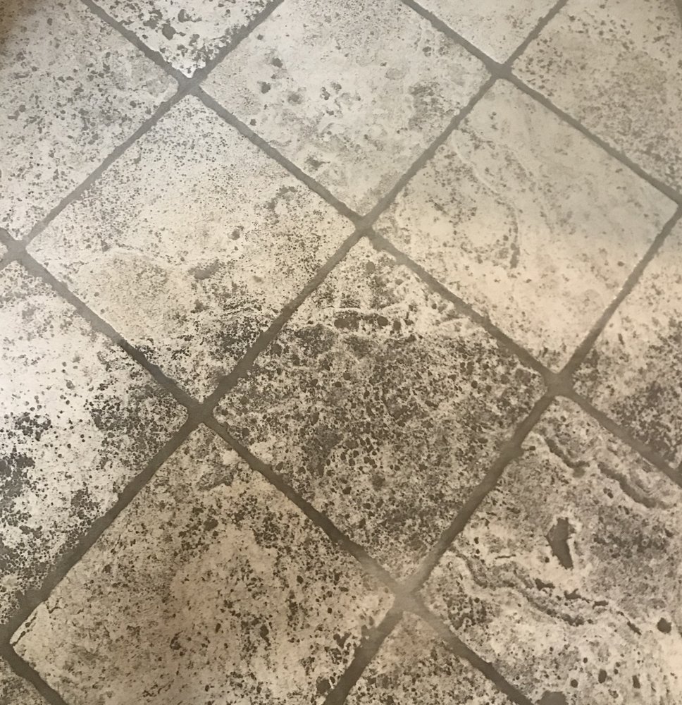 Photo of Bee Clean Services