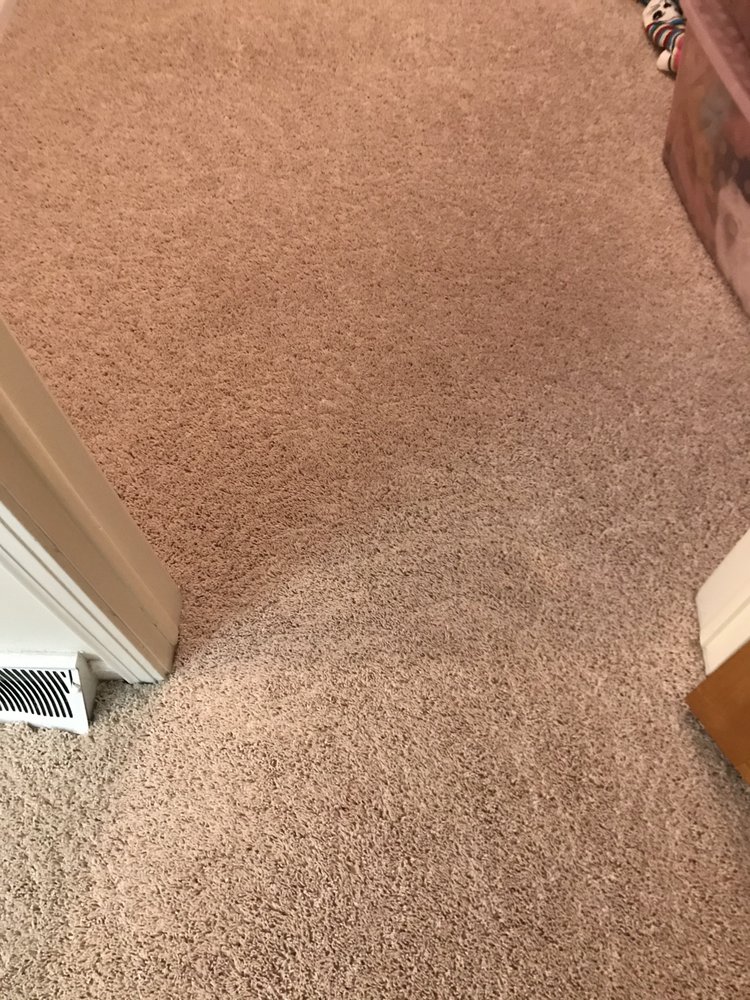 Photo of Bee Clean Services