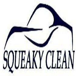 Photo of Squeaky Clean Auto Detailing
