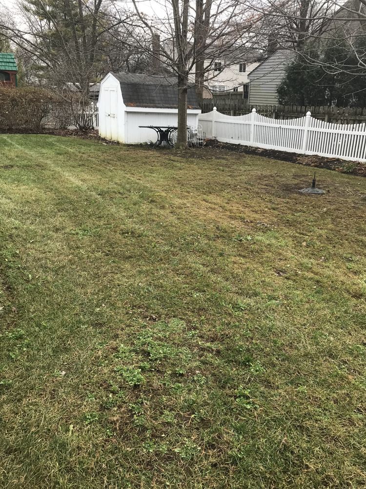 Photo of Allen Lawn Service