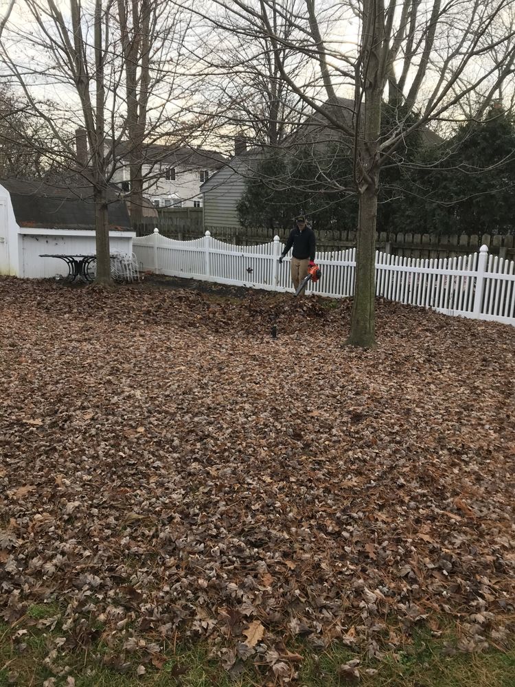 Photo of Allen Lawn Service
