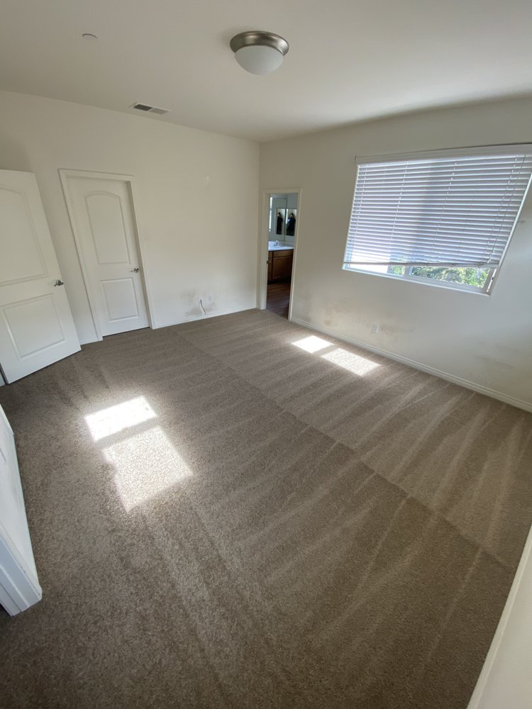Photo of Vision Carpet