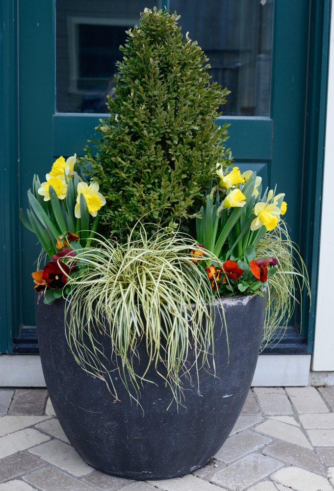 Photo of Evangelista Floral and Landscape Studio