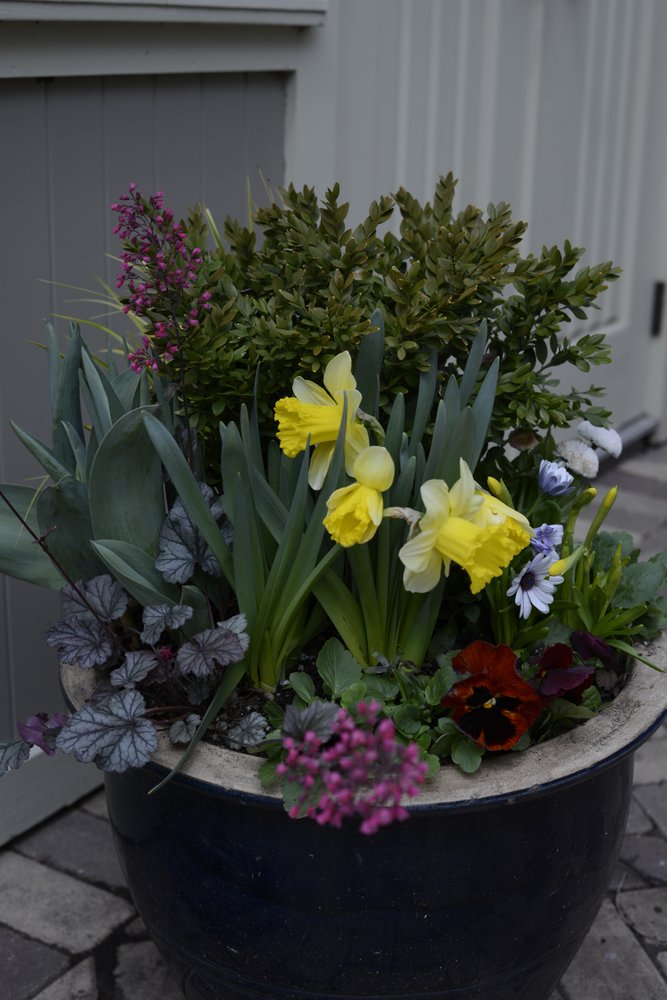 Photo of Evangelista Floral and Landscape Studio