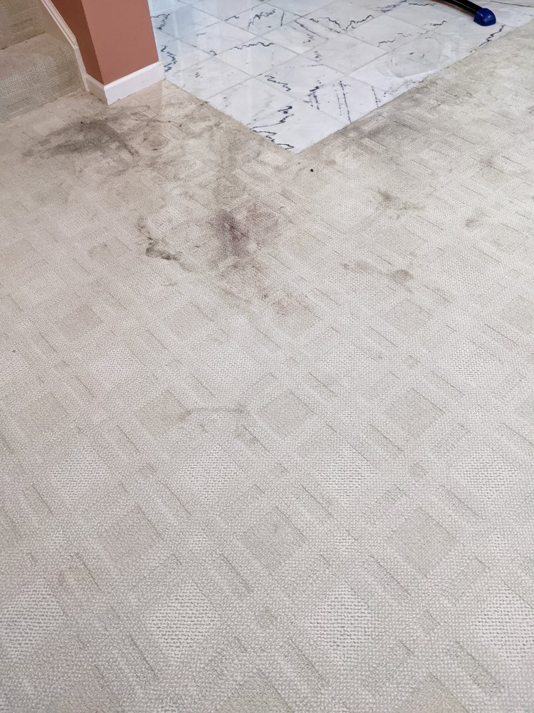 Photo of The Carpet Doctors