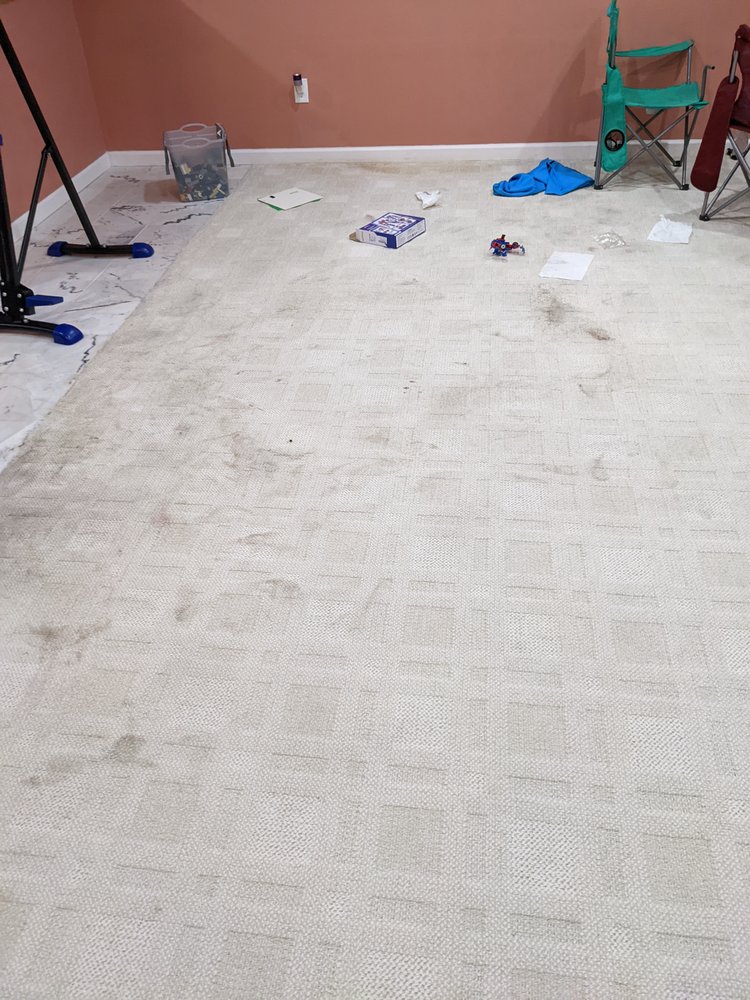 Photo of The Carpet Doctors