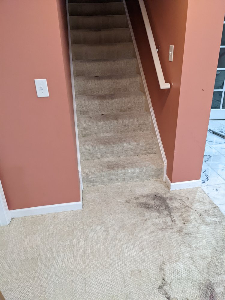 Photo of The Carpet Doctors