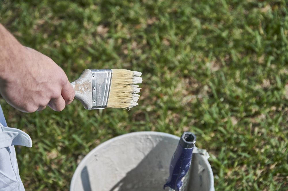 Photo of Superior Painting Services