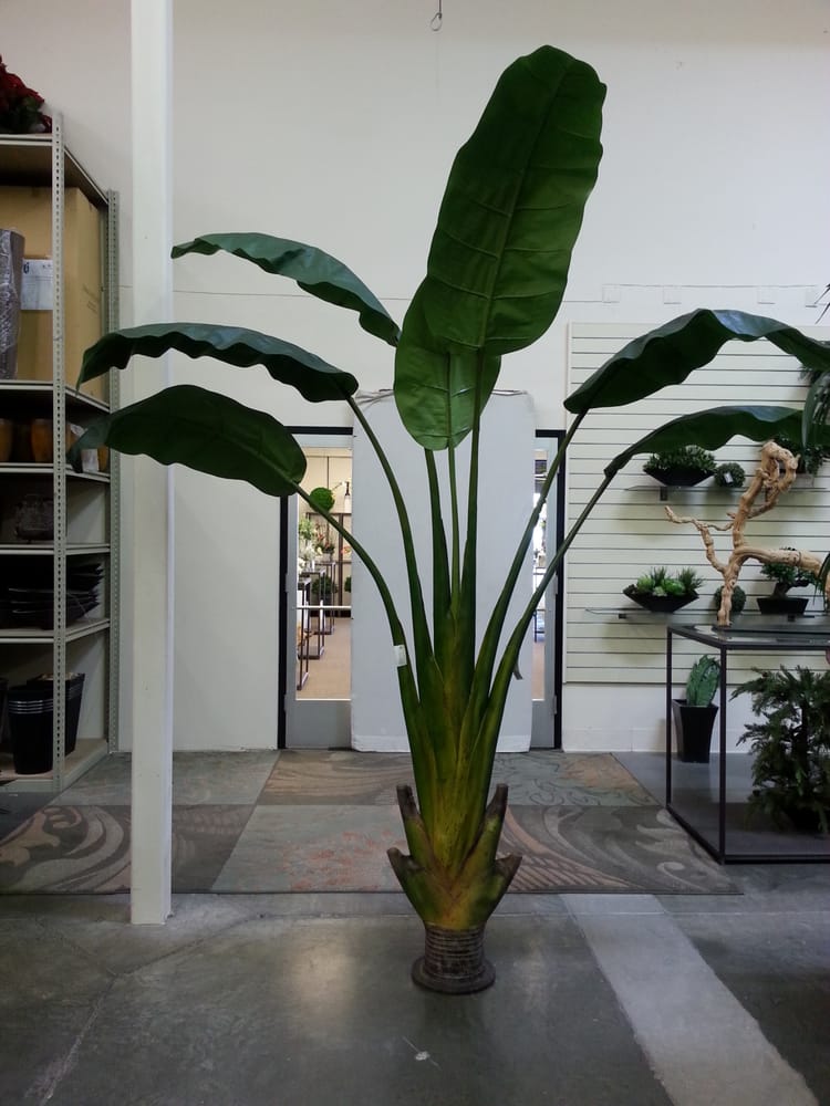 Photo of International Plantworks