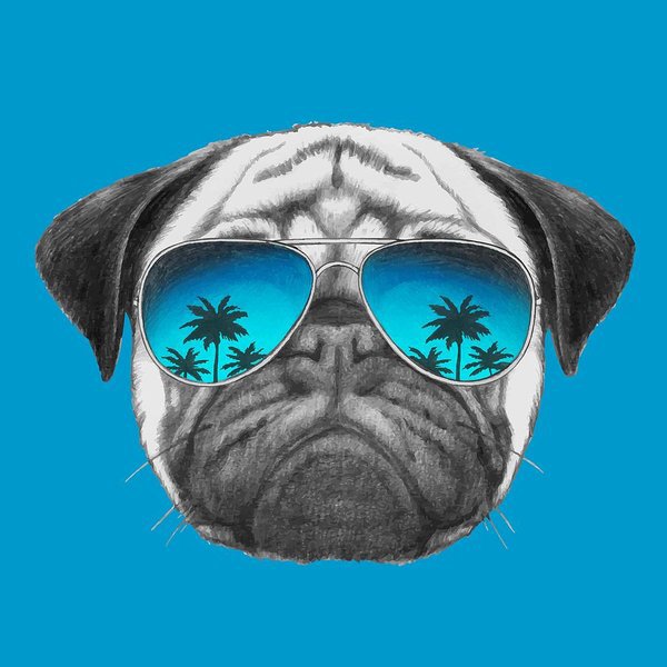 Photo of Pug's Junk Removal