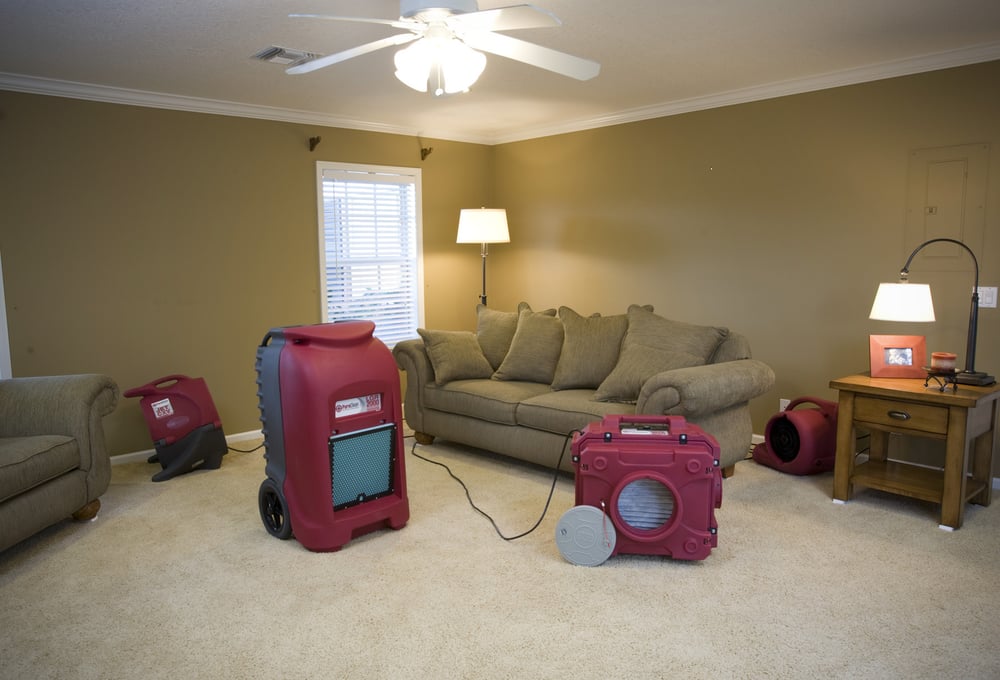 Photo of Puroclean Water, Fire & Mold Experts