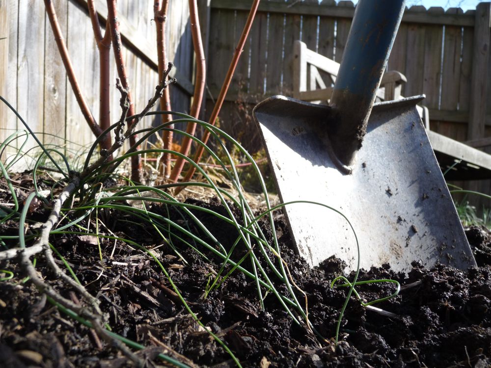 Photo of Cardinal Landscape Services